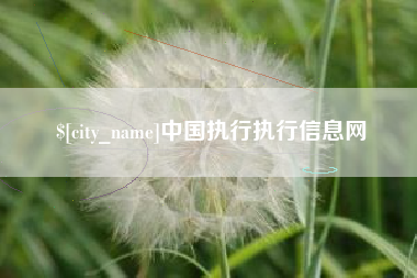 醴陵中国执行执行信息网