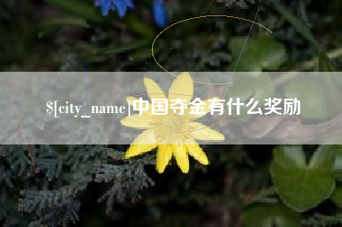 醴陵中国夺金有什么奖励