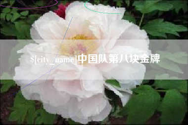 醴陵中国队第八块金牌