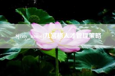 醴陵九宫格人才管理策略