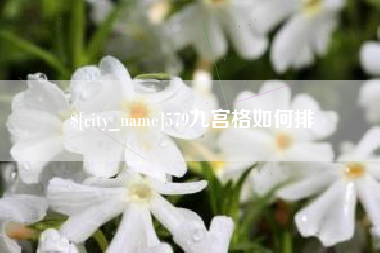醴陵579九宫格如何排
