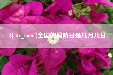 醴陵全国的消防日是几月几日