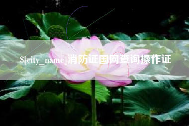 醴陵消防证国网查询操作证