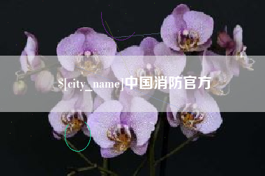 醴陵中国消防官方