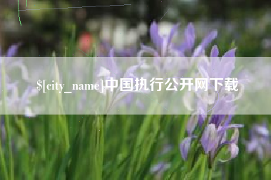醴陵中国执行公开网下载