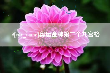 醴陵奥运金牌第二个九宫格