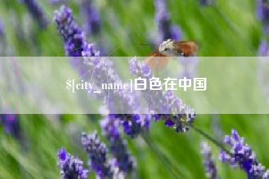 醴陵白色在中国