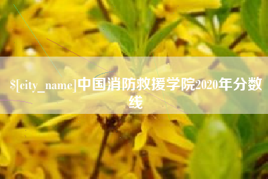 醴陵中国消防救援学院2020年分数线