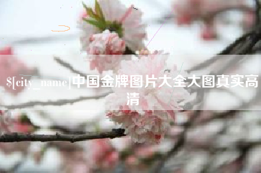 醴陵中国金牌图片大全大图真实高清