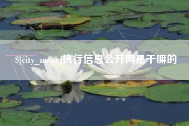 醴陵执行信息公开网是干嘛的