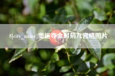 醴陵奥运夺金时刻九宫格图片