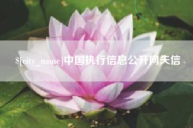 醴陵中国执行信息公开网失信