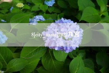 醴陵2022九宫