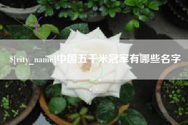 醴陵中国五千米冠军有哪些名字
