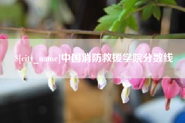 醴陵中国消防救援学院分数线