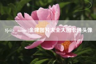 醴陵金牌图片大全大图卡通头像