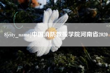 醴陵中国消防救援学院河南省2020